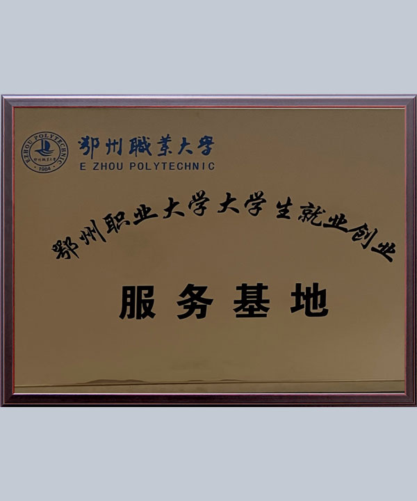 集團(tuán)榮譽(yù)