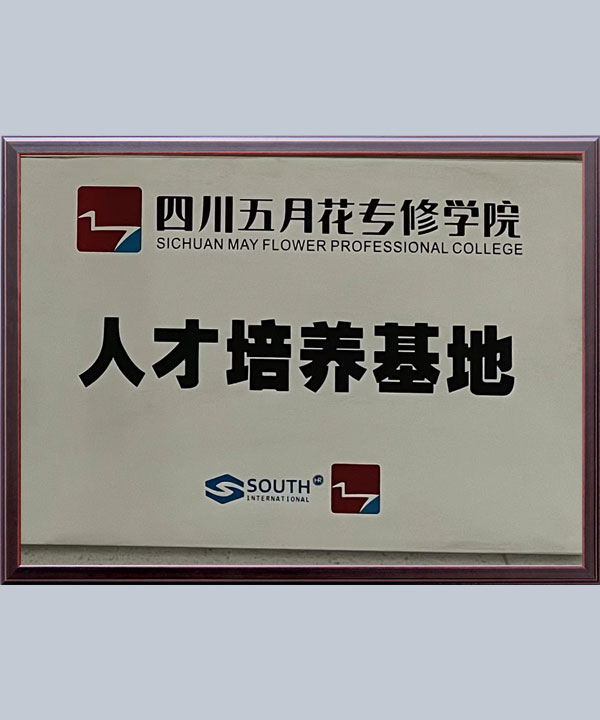 集團(tuán)榮譽(yù)