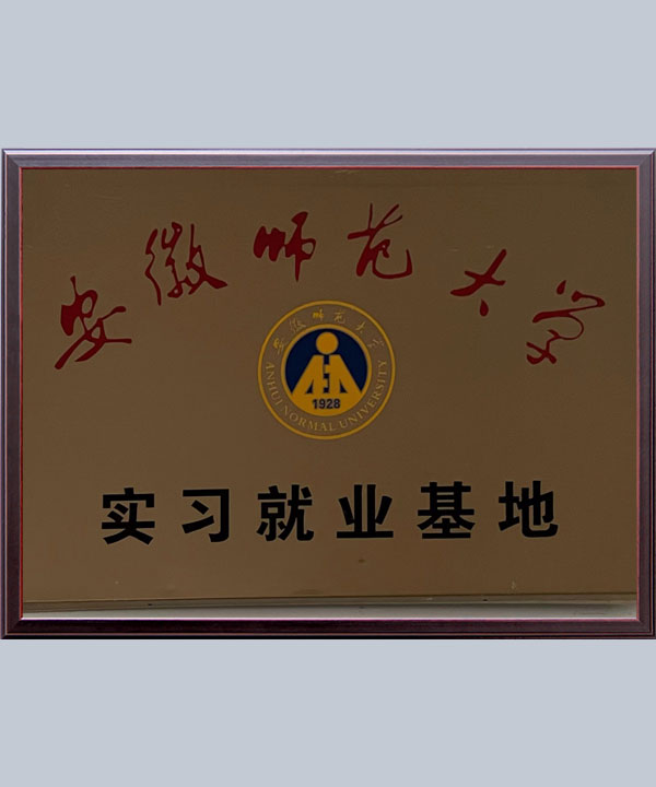 集團(tuán)榮譽(yù)