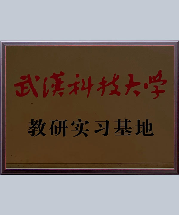 集團(tuán)榮譽(yù)