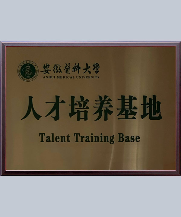 集團(tuán)榮譽(yù)
